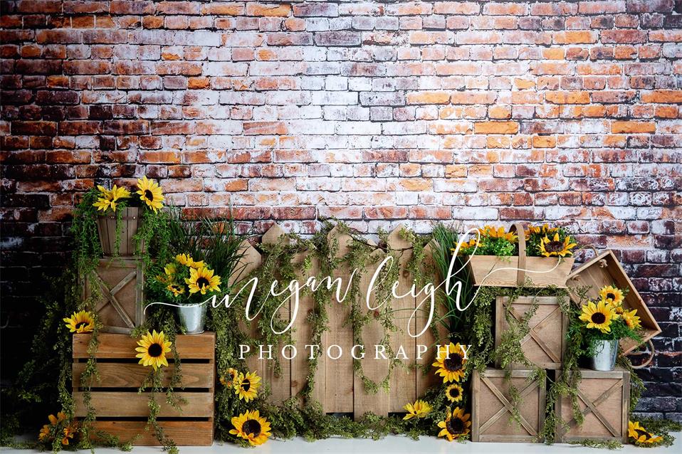 Kate Summer Sunflower Dark Brick Backdrop Designed by Megan Leigh Photography