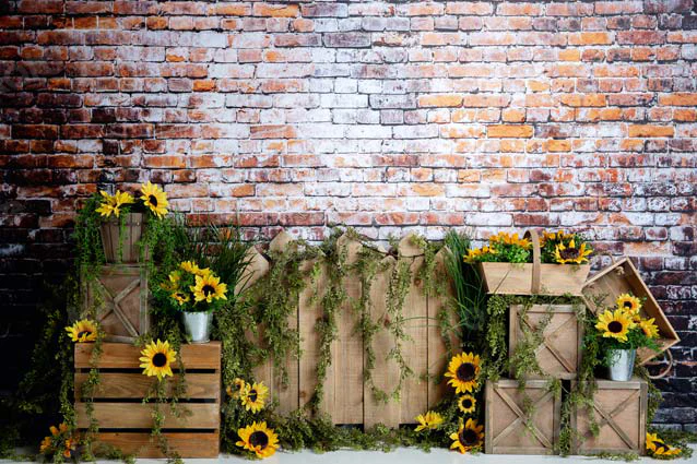 Kate Summer Sunflower Dark Brick Backdrop Designed by Megan Leigh Photography - Image 2