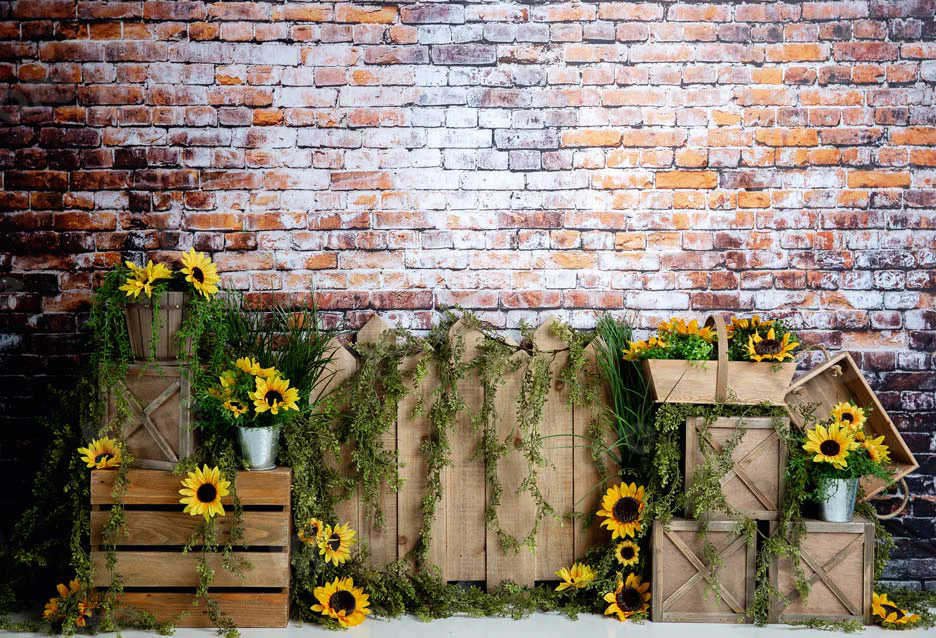 Kate Summer Sunflower Dark Brick Backdrop Designed by Megan Leigh Photography - Image 3