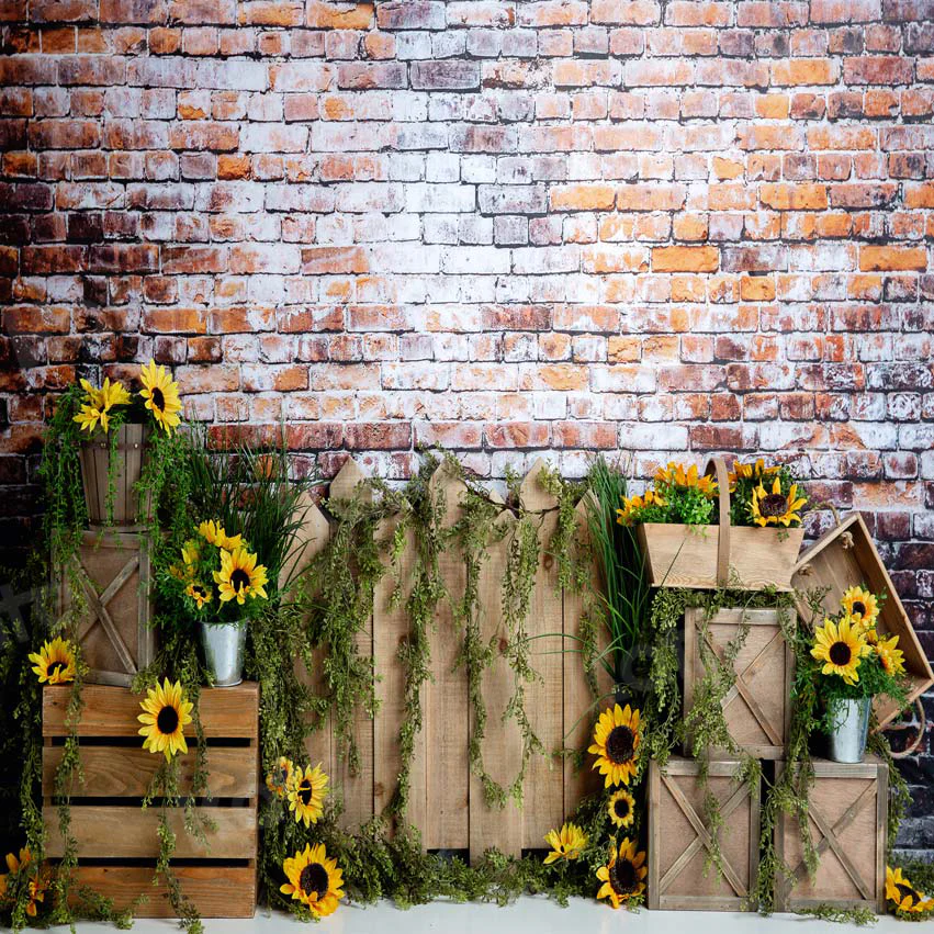 Kate Summer Sunflower Dark Brick Backdrop Designed by Megan Leigh Photography - Image 4