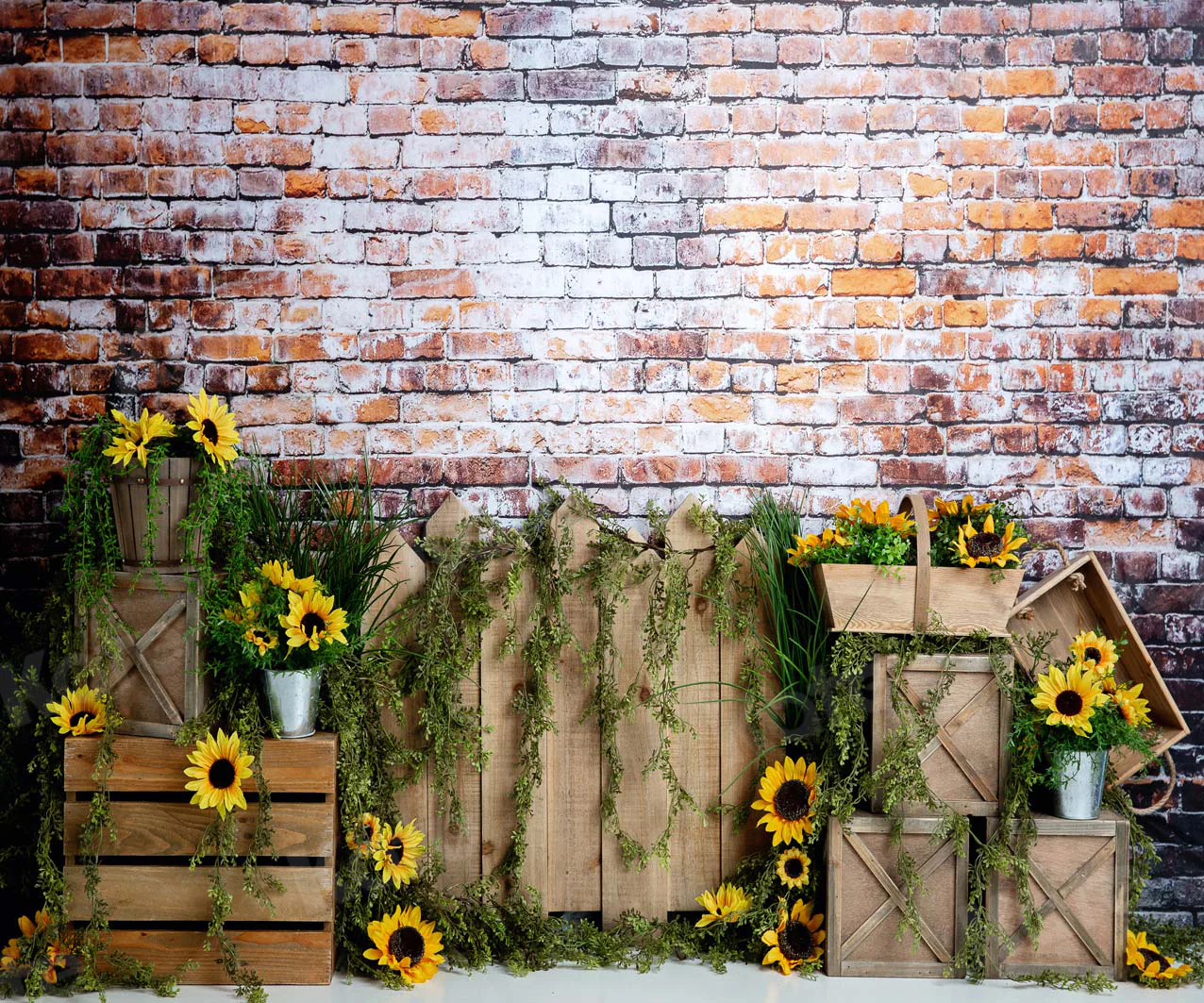 Kate Summer Sunflower Dark Brick Backdrop Designed by Megan Leigh Photography - Image 5