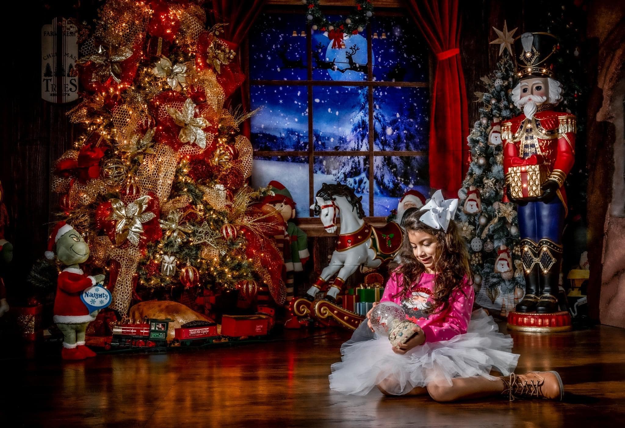 Kate Christmas Trees Indoor Windows Backdrop Room Set - Image 3