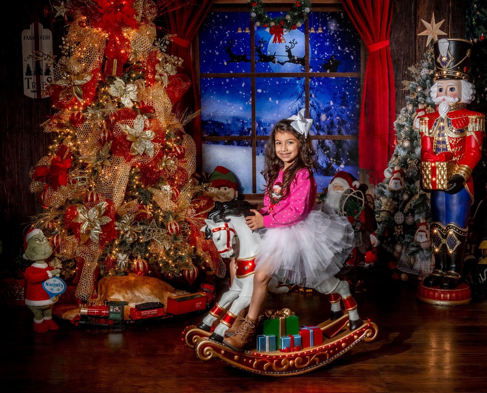 Kate Christmas Trees Indoor Windows Backdrop Room Set - Image 4