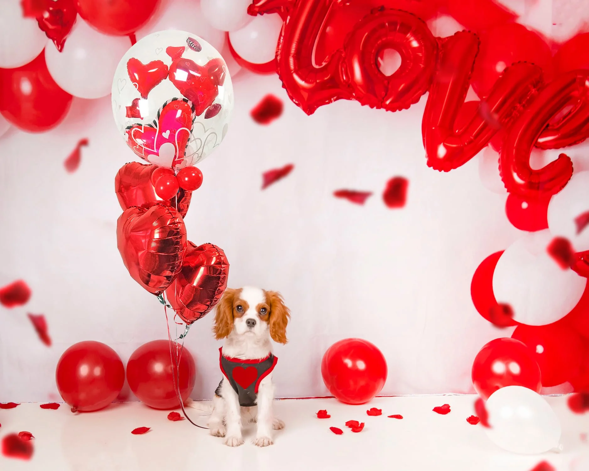 Kate Valentine's Day Balloon Arch Backdrop for Photography - Image 5
