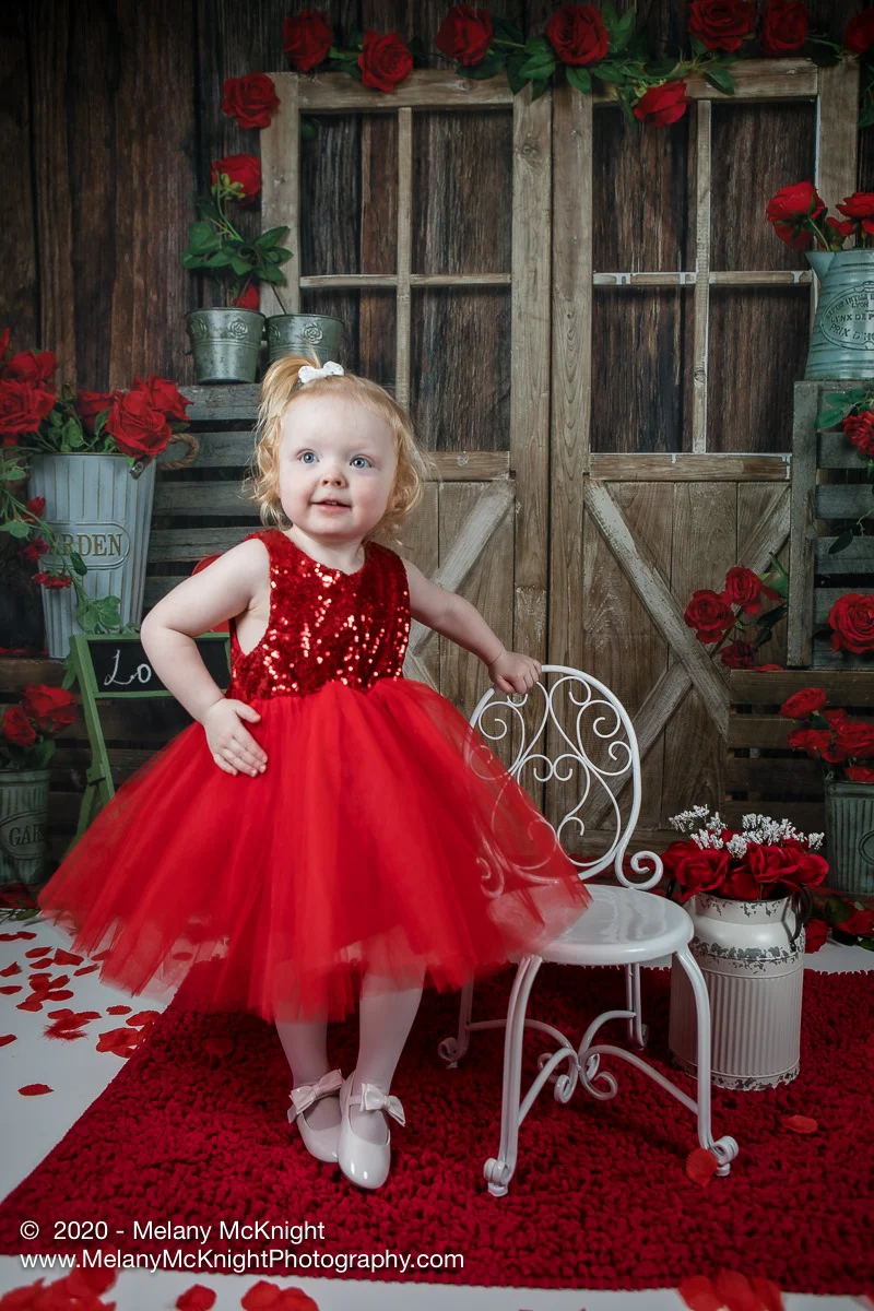 Kate Valentine's Day Rose Wood Door Backdrop Designed by Emetselch - Image 4