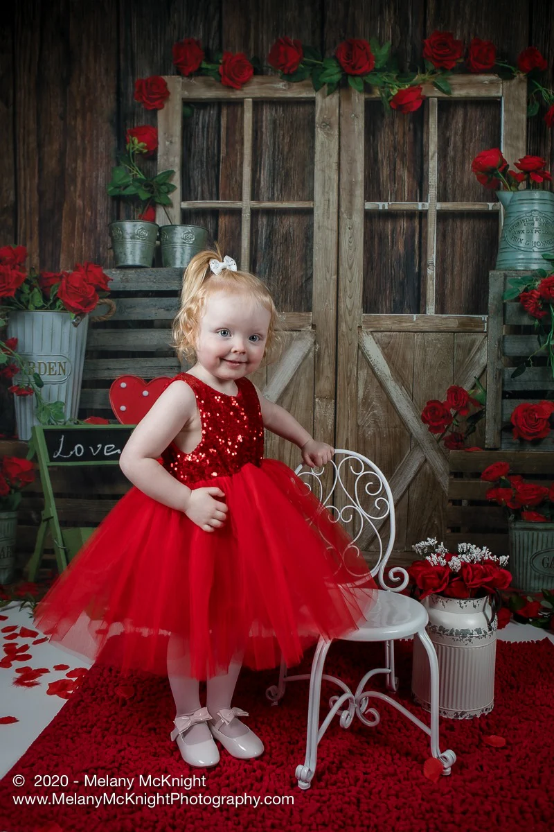 Kate Valentine's Day Rose Wood Door Backdrop Designed by Emetselch - Image 6