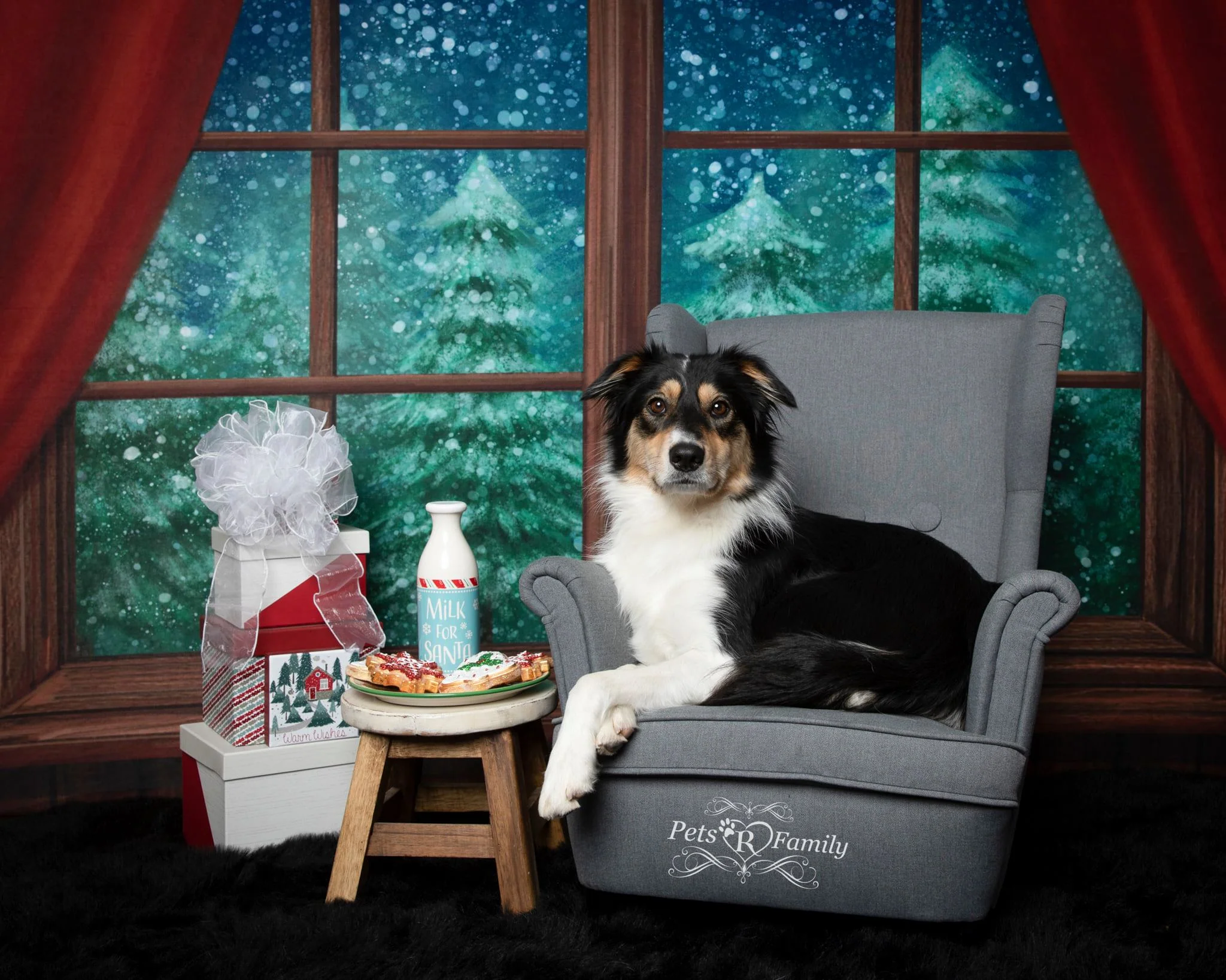 Kate Christmas Window Snow Night Backdrop Designed by Jia Chan Photography - Image 3
