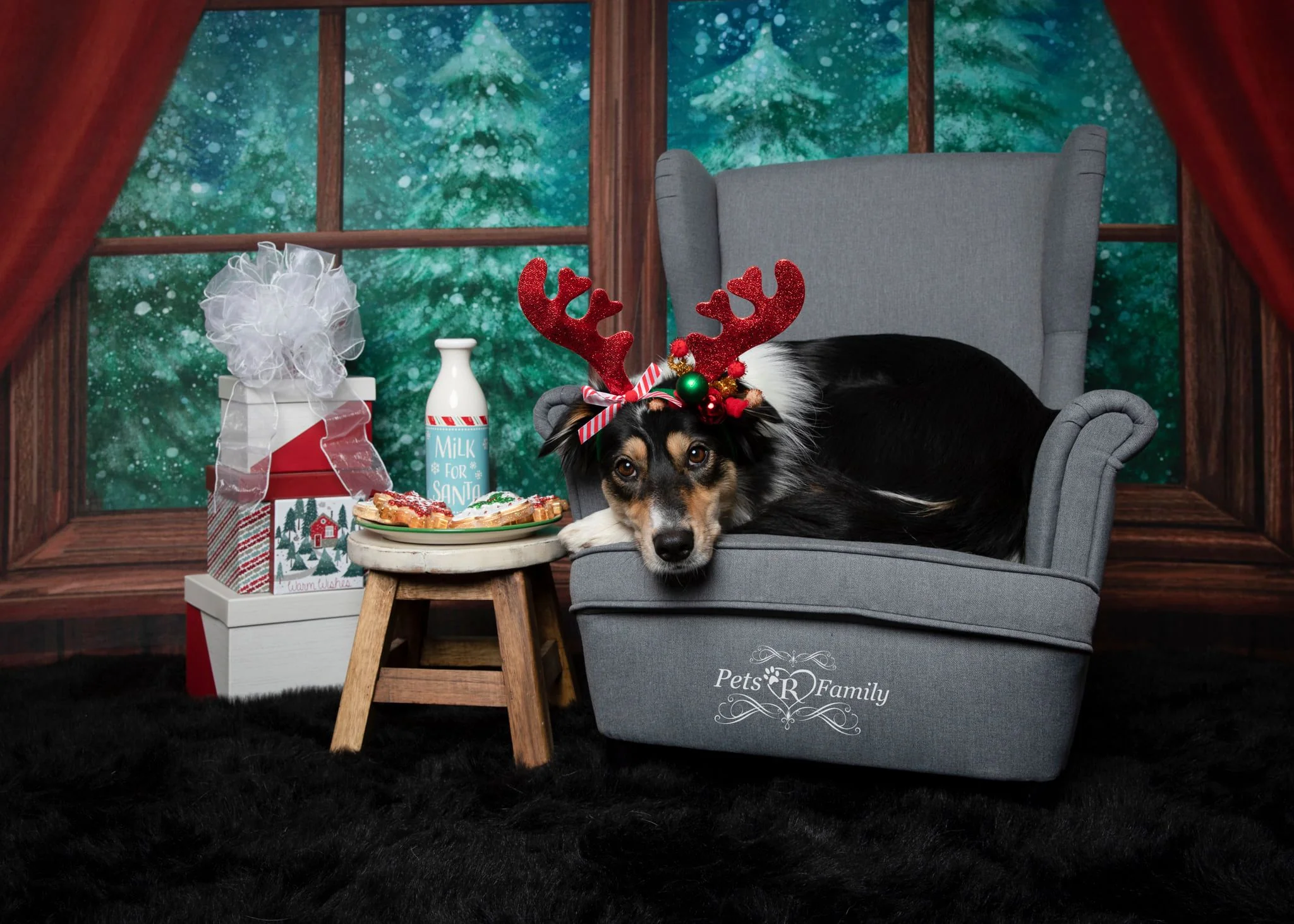 Kate Christmas Window Snow Night Backdrop Designed by Jia Chan Photography - Image 4