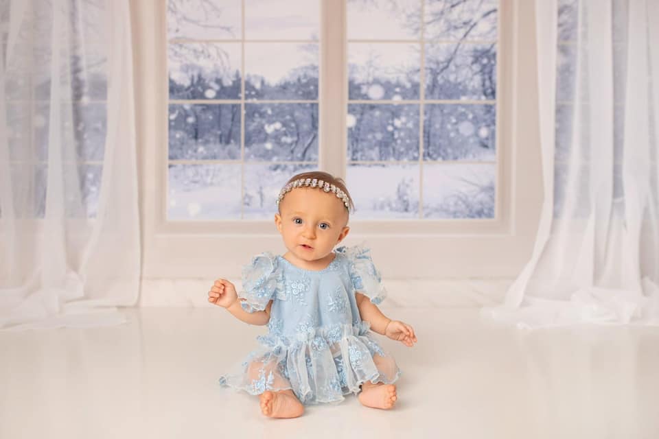 Kate Window Backdrop Winter Snow Garden Designed by Emetselch - Image 6