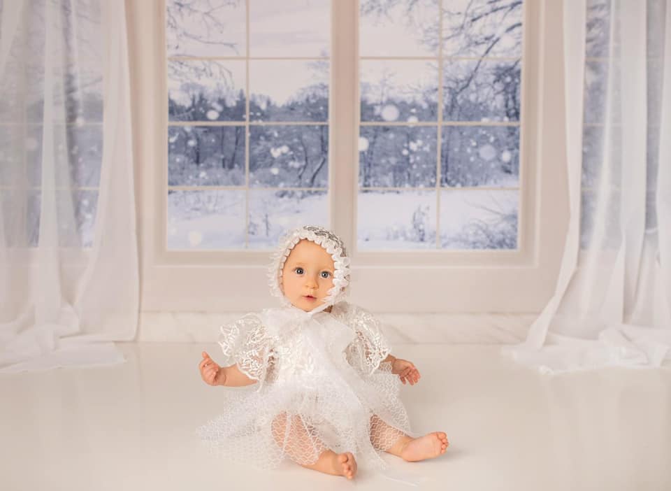 Kate Window Backdrop Winter Snow Garden Designed by Emetselch - Image 7