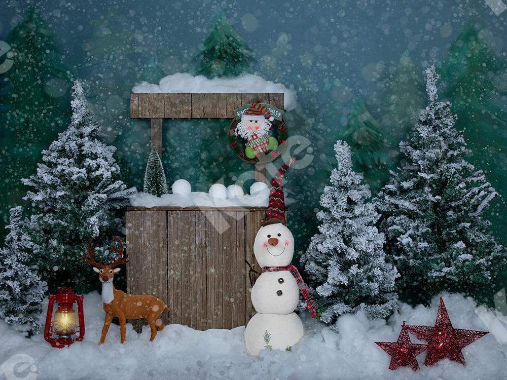 Kate Winter Christmas Backdrop with Snowman for Portrait Designed by Jia Chan Photography - Image 2