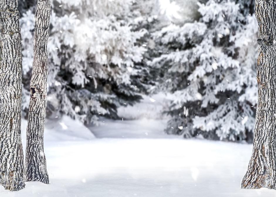Kate Winter Forest Snow Backdrop Designed by Arica Kirby - Image 2