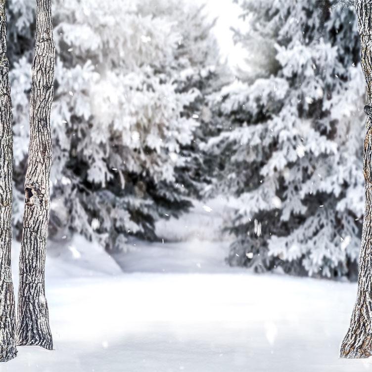 Kate Winter Forest Snow Backdrop Designed by Arica Kirby - Image 7