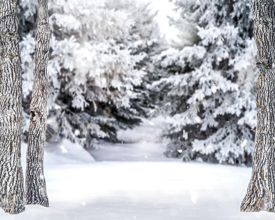 Kate Winter Forest Snow Backdrop Designed by Arica Kirby - Image 8