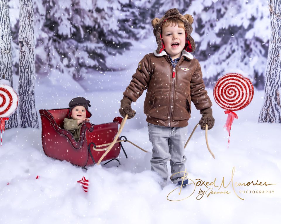 Kate Winter Forest Snow Backdrop Designed by Arica Kirby - Image 9