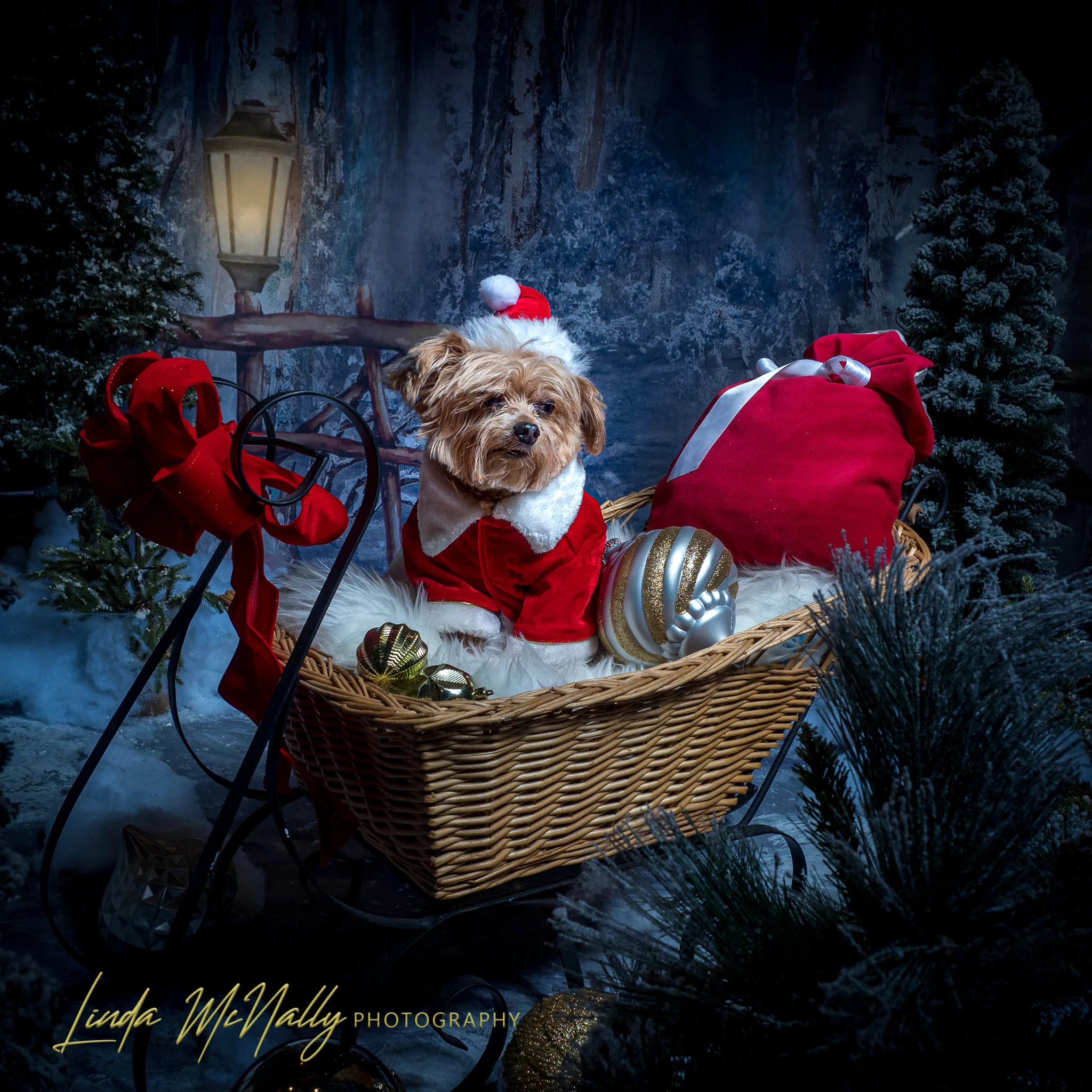Kate Fine Art Backdrop Winter Snow Forest With Lights Designed by GQ - Image 3