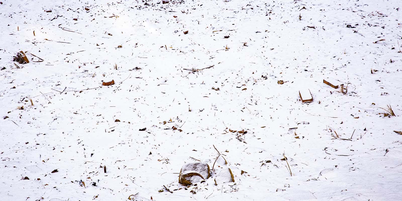 Kate Winter Snowfield Backdrop Designed by Emetselch - Image 2