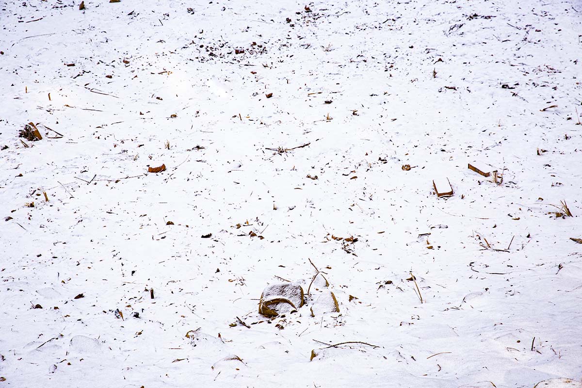 Kate Winter Snowfield Backdrop Designed by Emetselch - Image 3