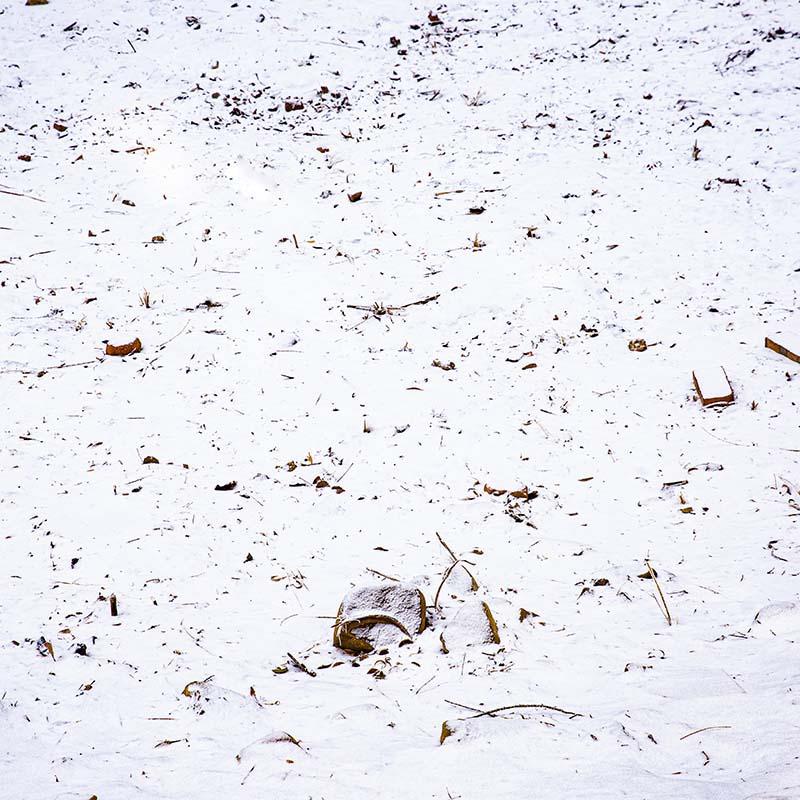 Kate Winter Snowfield Backdrop Designed by Emetselch - Image 5