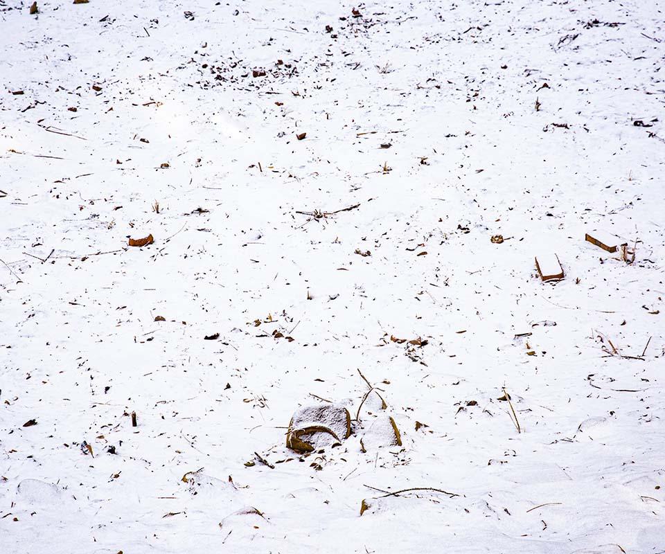 Kate Winter Snowfield Backdrop Designed by Emetselch - Image 6