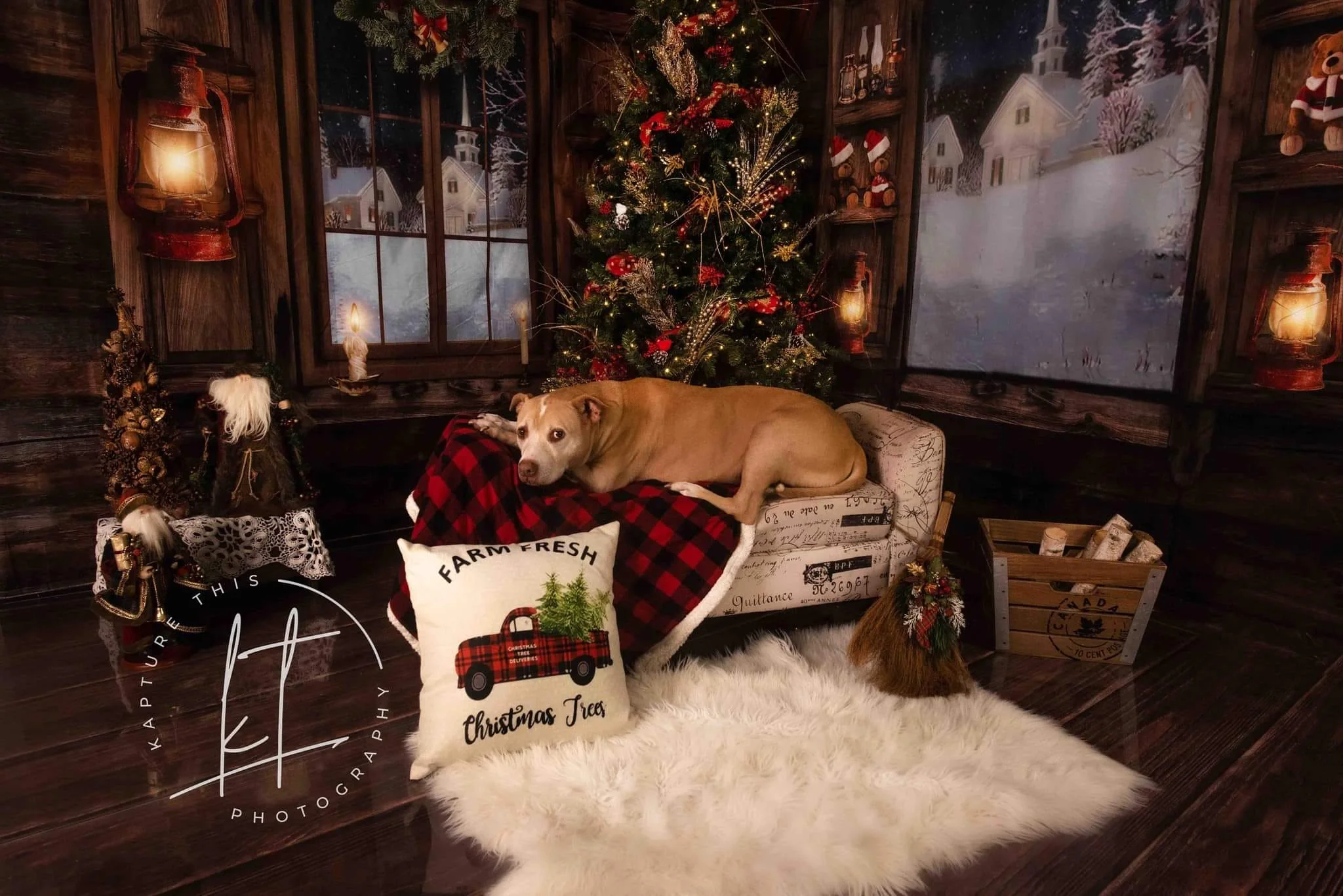 Kate Christmas Wood Indoor Windows Backdrop Room Set - Image 3