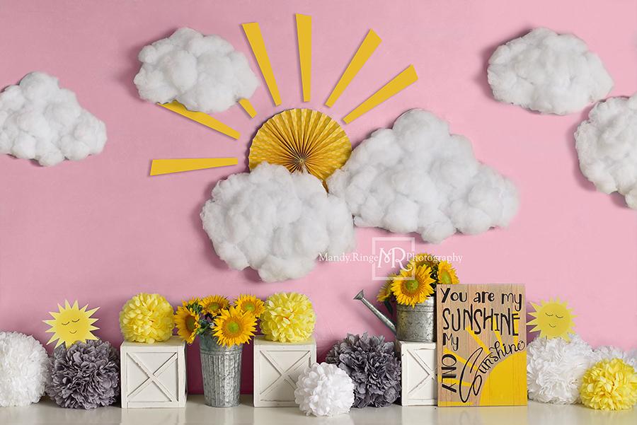 Kate You Are My Sunshine Pink Backdrop Designed by Mandy Ringe Photography
